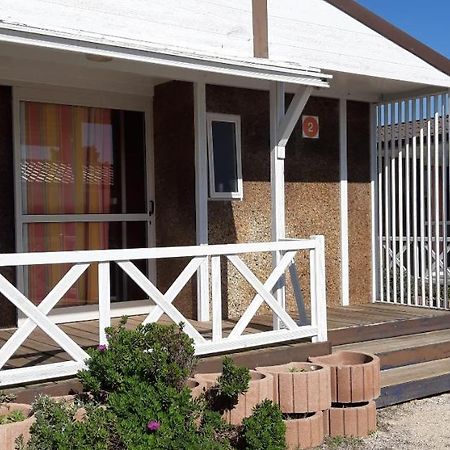 Parque De Campismo Da Praia Da Barra Gafanha da Nazaré Dış mekan fotoğraf