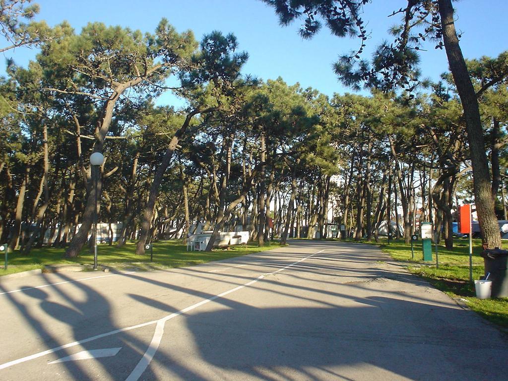 Parque De Campismo Da Praia Da Barra Gafanha da Nazaré Dış mekan fotoğraf