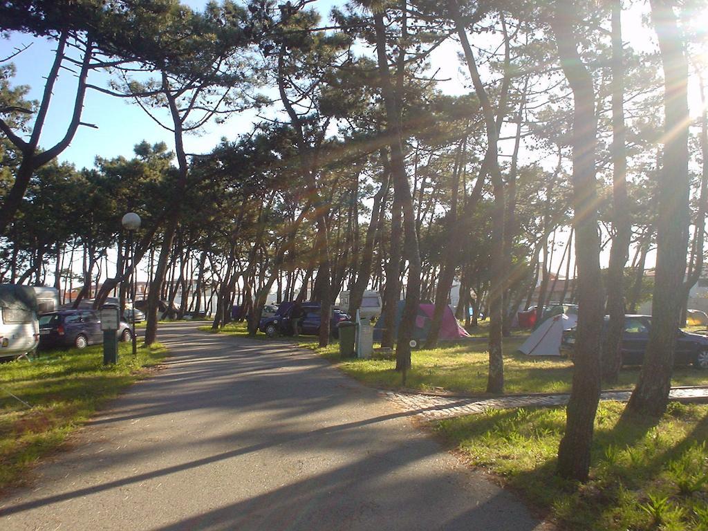 Parque De Campismo Da Praia Da Barra Gafanha da Nazaré Dış mekan fotoğraf